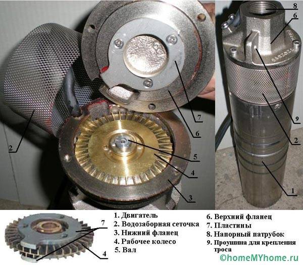 ใบพัดปั๊ม