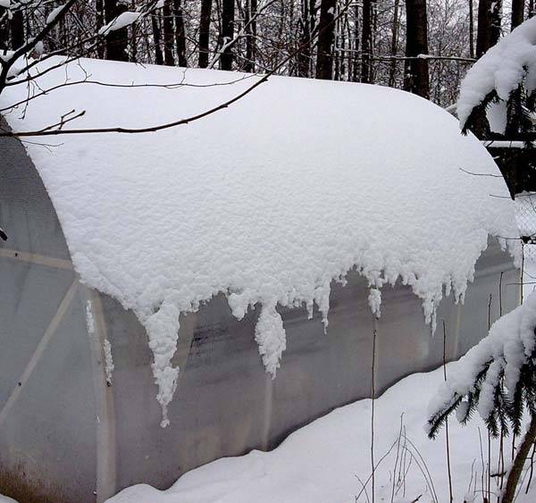 Seră iarna sub zăpadă