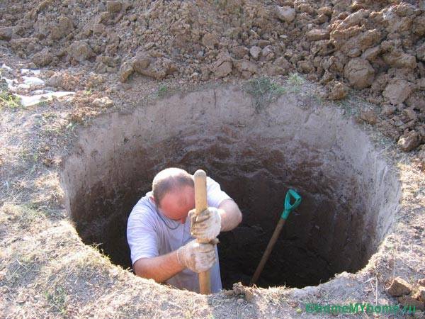 Self-assembly of the well