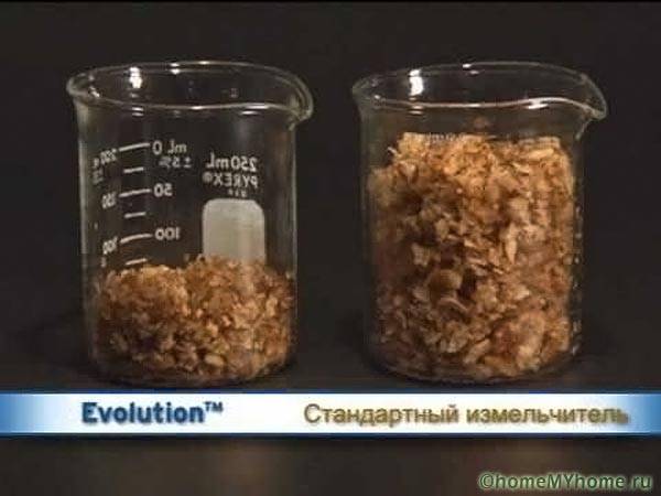 Type of ground food waste