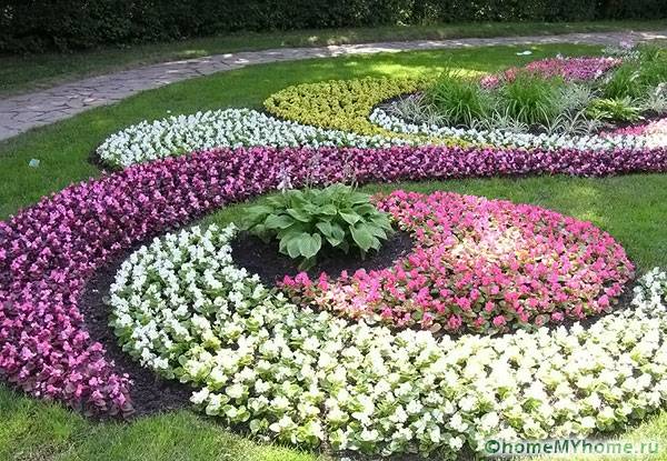 Un jardin fleuri aux limites claires