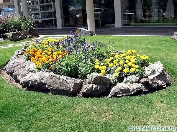 Pierres dans un parterre de fleurs