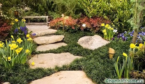 Chemins dans le jardin fleuri