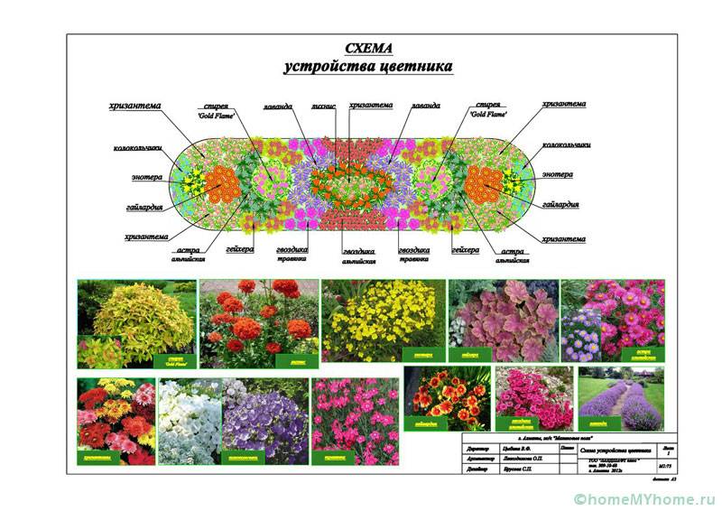 Projet de conception de jardin fleuri