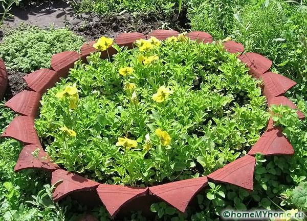 Parterre de fleurs dans une roue