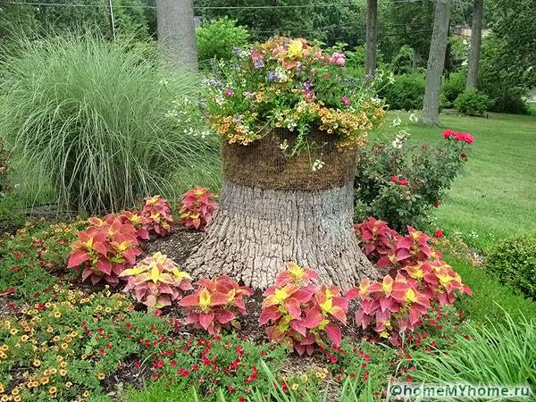 Décoration sur les souches