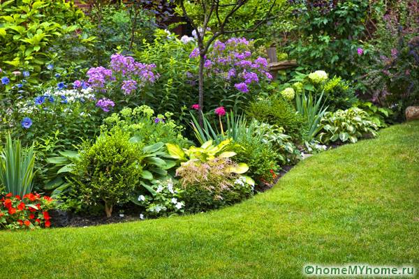 Προσαρμοσμένη γραμμή συνόρων