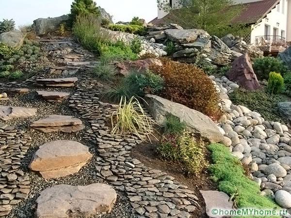 Rock garden in a ravine