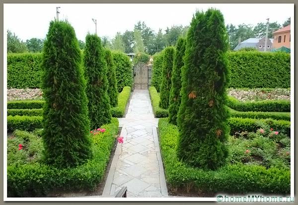 Κομψή λύση - πασιέντζα