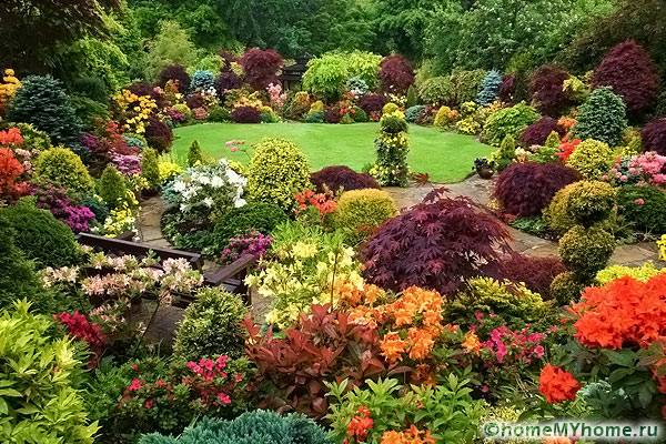 The rock garden looks very impressive during the flowering of plants
