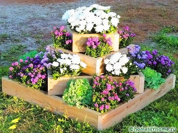 Το μέρος για φύτευση πρέπει να είναι ανοιχτό και καλά φωτισμένο