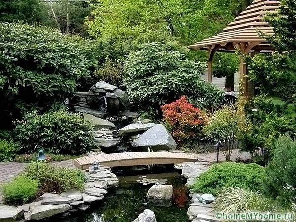 The delights of Japan