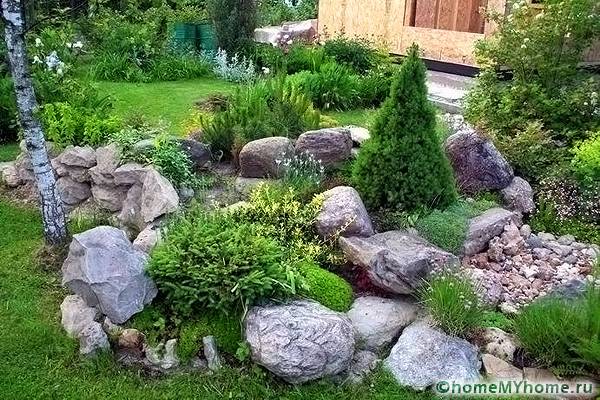 In rockeries, most of the area is occupied by stones