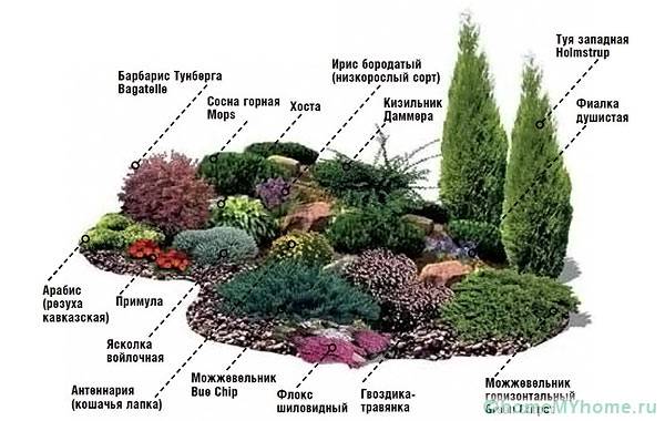 Selection of plants