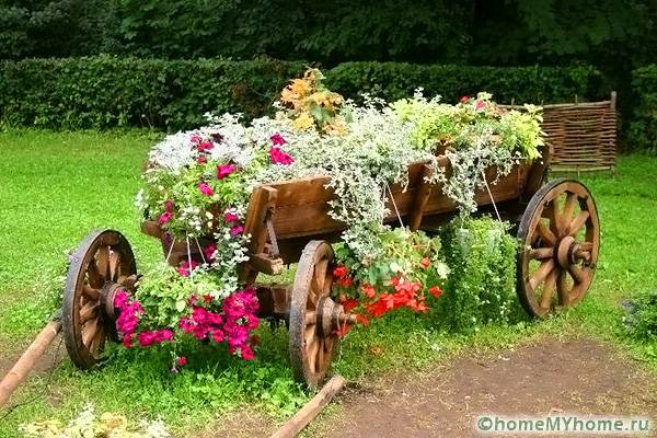 Πολυτελές λουλουδάτο σχέδιο