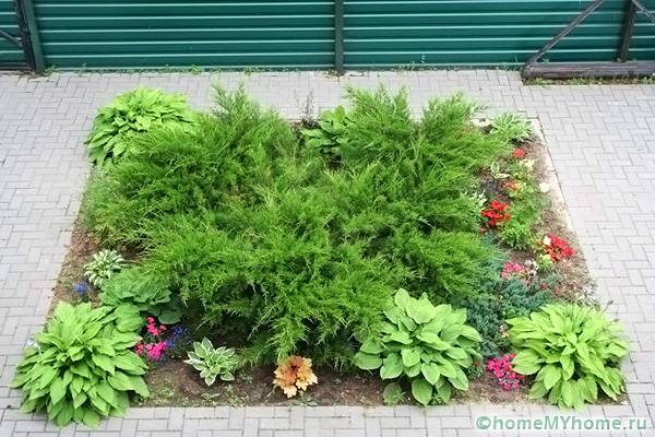 Τετράγωνο σχέδιο