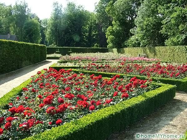 Κομψά τρίγωνα