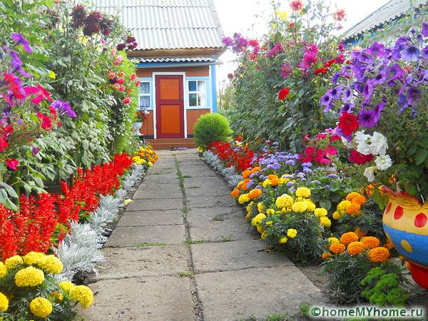 Περιορίστε την άκρη