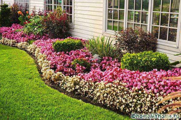 Παράδειγμα Ραμπάτ