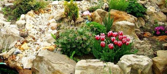 Направи си сам алпийска пързалка с камъни в страната: снимка