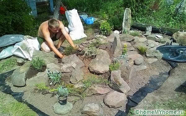 The use of stones of various sizes must be combined with the planted plants