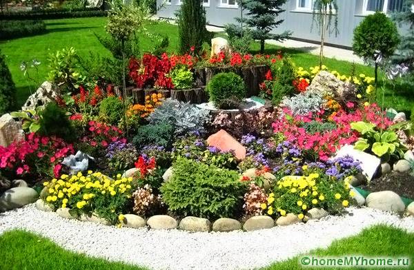 Plants can transform territory beyond recognition