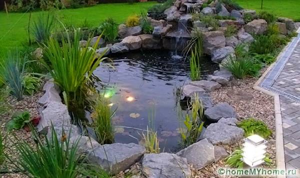 When creating a rock garden, all elements must be combined: lighting, stones, plants and adjacent paths