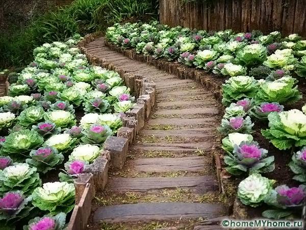 Percorsi da giardino fai da te a basso costo