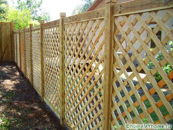 The lattice can be an unusual decoration for the yard