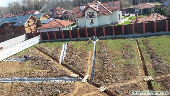 На високо ниво на земята отводнителната система приема дървовидна форма