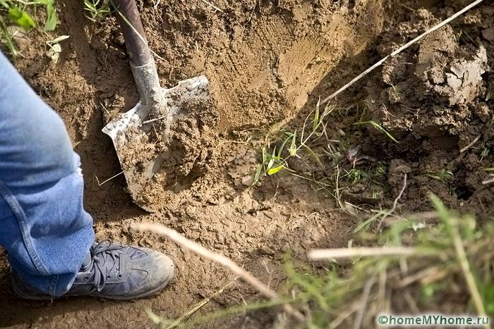 В момента текат земни работи по дренажното устройство