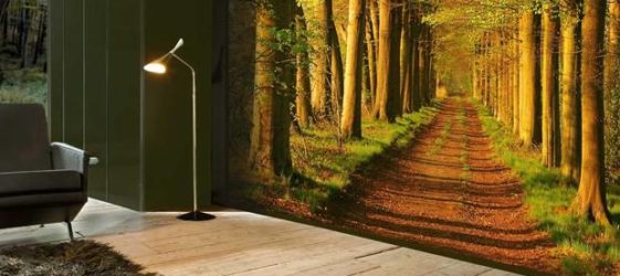 photomurals agrandissant l'espace