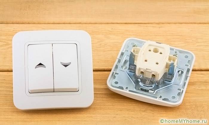 Inner part of the switch with two buttons