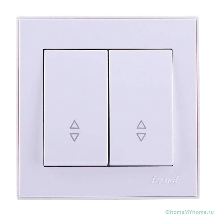 Switch 2-keys LEZARD RAIN