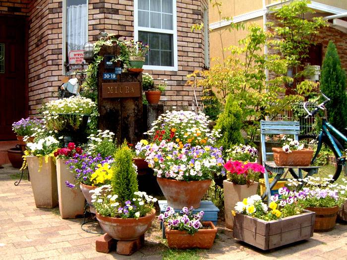 Farklı şekil ve boyutlardaki saksılar tek bir kompozisyon oluşturabilir