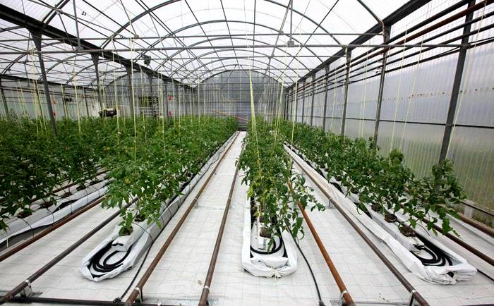 En iyi kendin yap sera projeleri