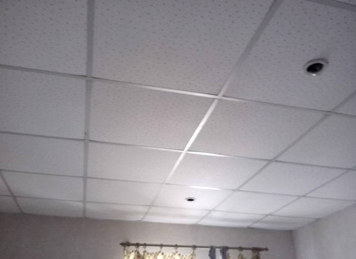 Can be seen in offices