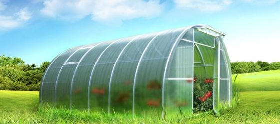 Τα καλύτερα έργα θερμοκηπίου do-it-yourself