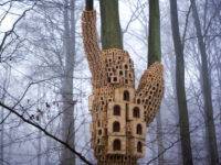 Къщичка за птици