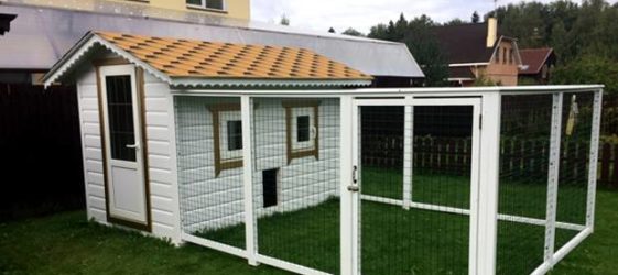 Направи си сам зимен кокошарник за 20 пилета