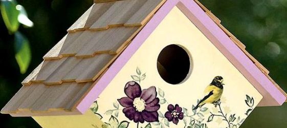 DIY birdhouse από ξύλο: υλικά, σχέδια, διακόσμηση και εγκατάσταση