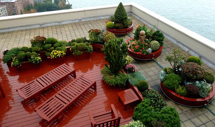 Contoh menyusun atap rata