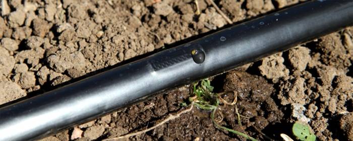 ผลิตภัณฑ์ประเภท Emitter