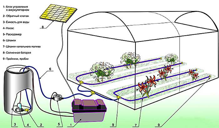 แผนภาพแสดงการออกแบบระบบน้ำหยดอย่างง่าย