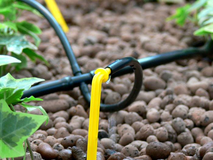 Dot Scheme ต้องใช้ความพยายามในการติดตั้งมากขึ้น