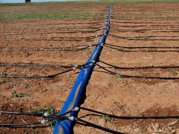 ดูเหมือนท่อเมน