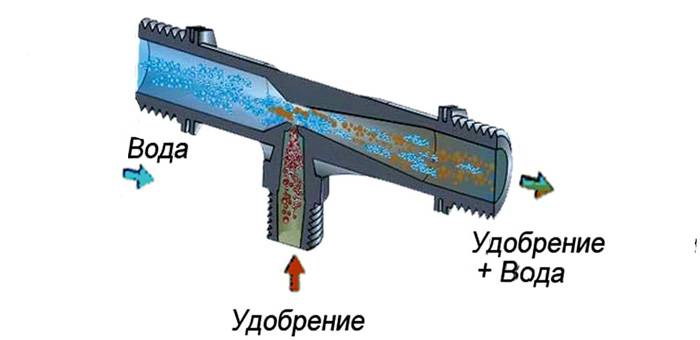 แผนภาพแสดงหลักการทำงานของโครงสร้างดังกล่าว