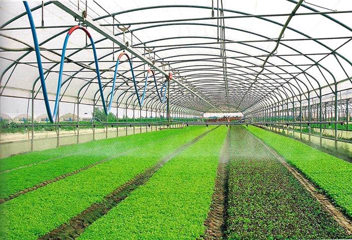 ตัวเลือกระบบเรือนกระจกอัตโนมัติ