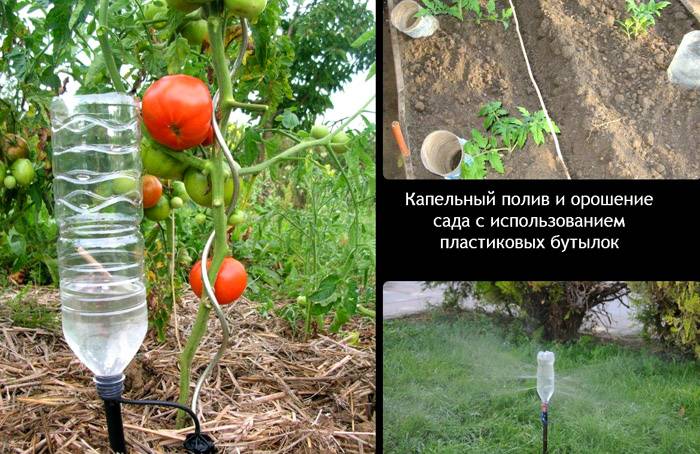 ออกแบบด้วยขวดพลาสติก