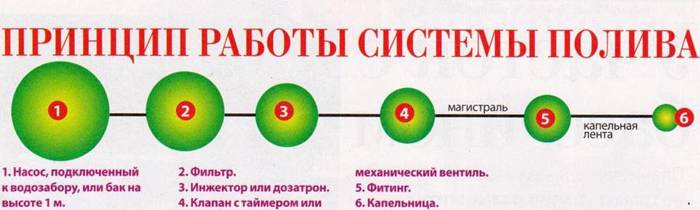 แผนภาพแสดงหลักการทำงานของอุปกรณ์